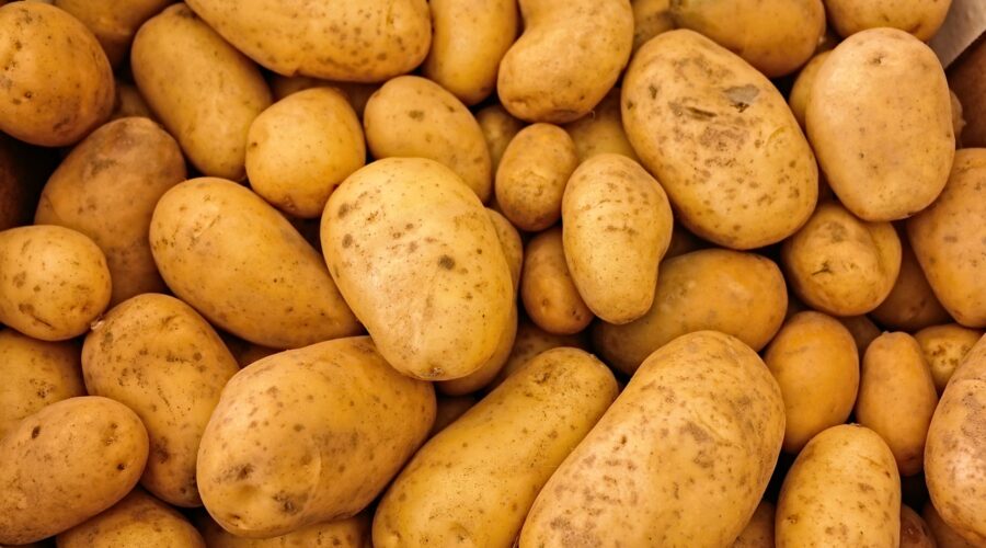 Kartoffelsorte - Welche Kartoffel ist die Richtige für die perfekten Pommes Frites?